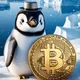 Pengu BTC