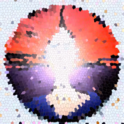 579