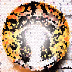 275