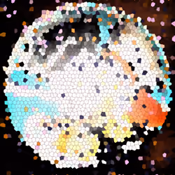 216