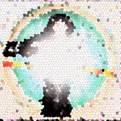 326