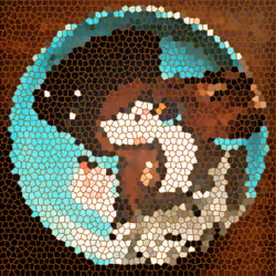 7