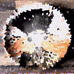 522
