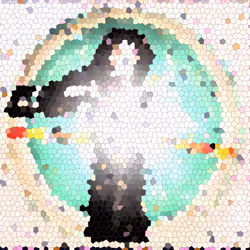 256