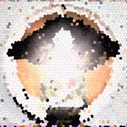 255