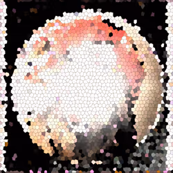 338