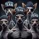 Dangerous Cats