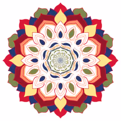6