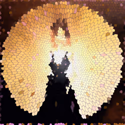 611