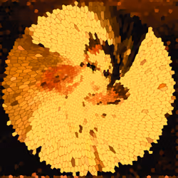 981