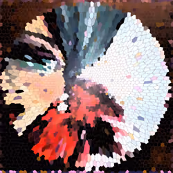 645