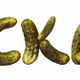 Picklecoin