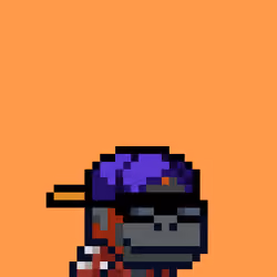 Swol Jr #598
