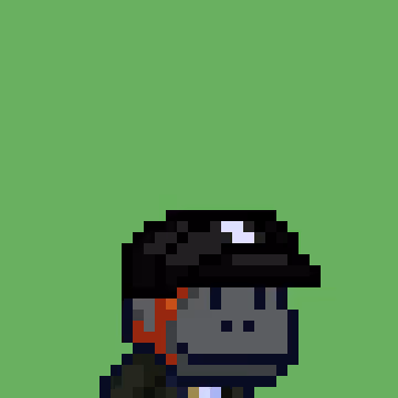 Swol Jr #181