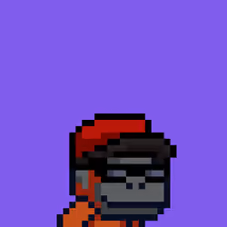Swol Jr #61