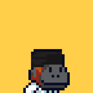 Swol Jrs