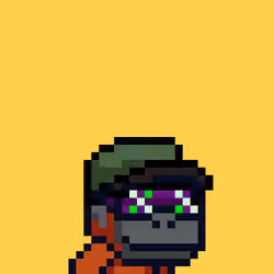 Swol Jr #426