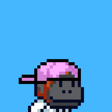 Swol Jrs
