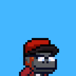 Swol Jr #1811