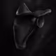 scapula 