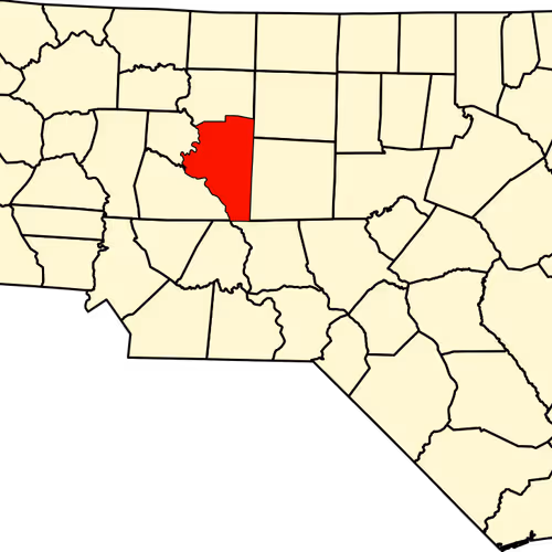 Davidson County Map