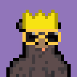 Bera Punks #4009
