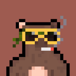 Bera Punks #9071