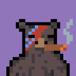 Bera Punks #7605