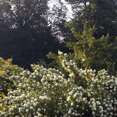 20180626_180920