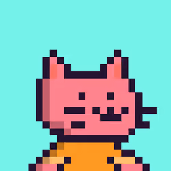 Kitten #891