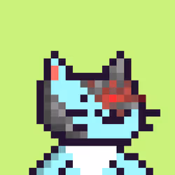 Kitten #517