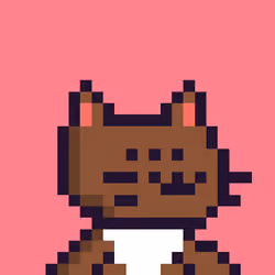 Kitten #982