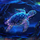CRYPTO ORACLE: TURTLE'S WISDOM DECK