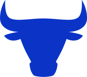 Blue Bulls