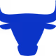 Blue Bulls