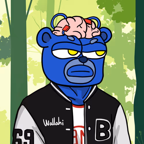 Blue Beras 8