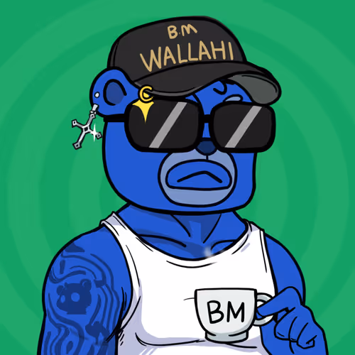 Blue Beras 8