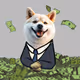 PASS  BOOS DOGG