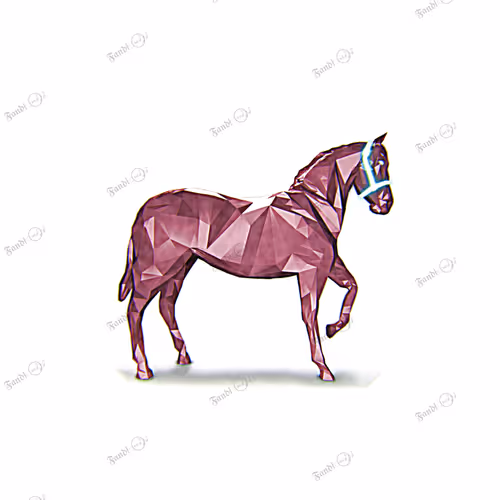 FandiMusica - Roll Film