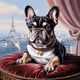 French Bulldog #12