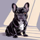 French Bulldog #22