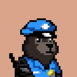Police #858