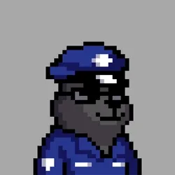 Police #284