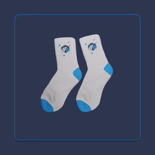 Arbitrumsocks