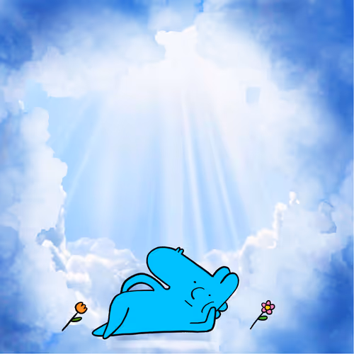 ananı sikim fenerbahçe