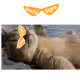 LutnaDrive