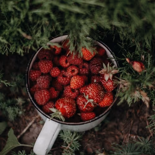 berry