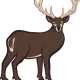 sdrfsdg