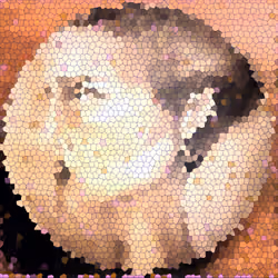 161