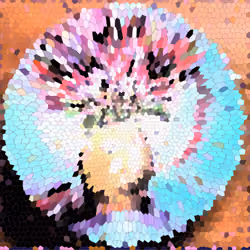 621